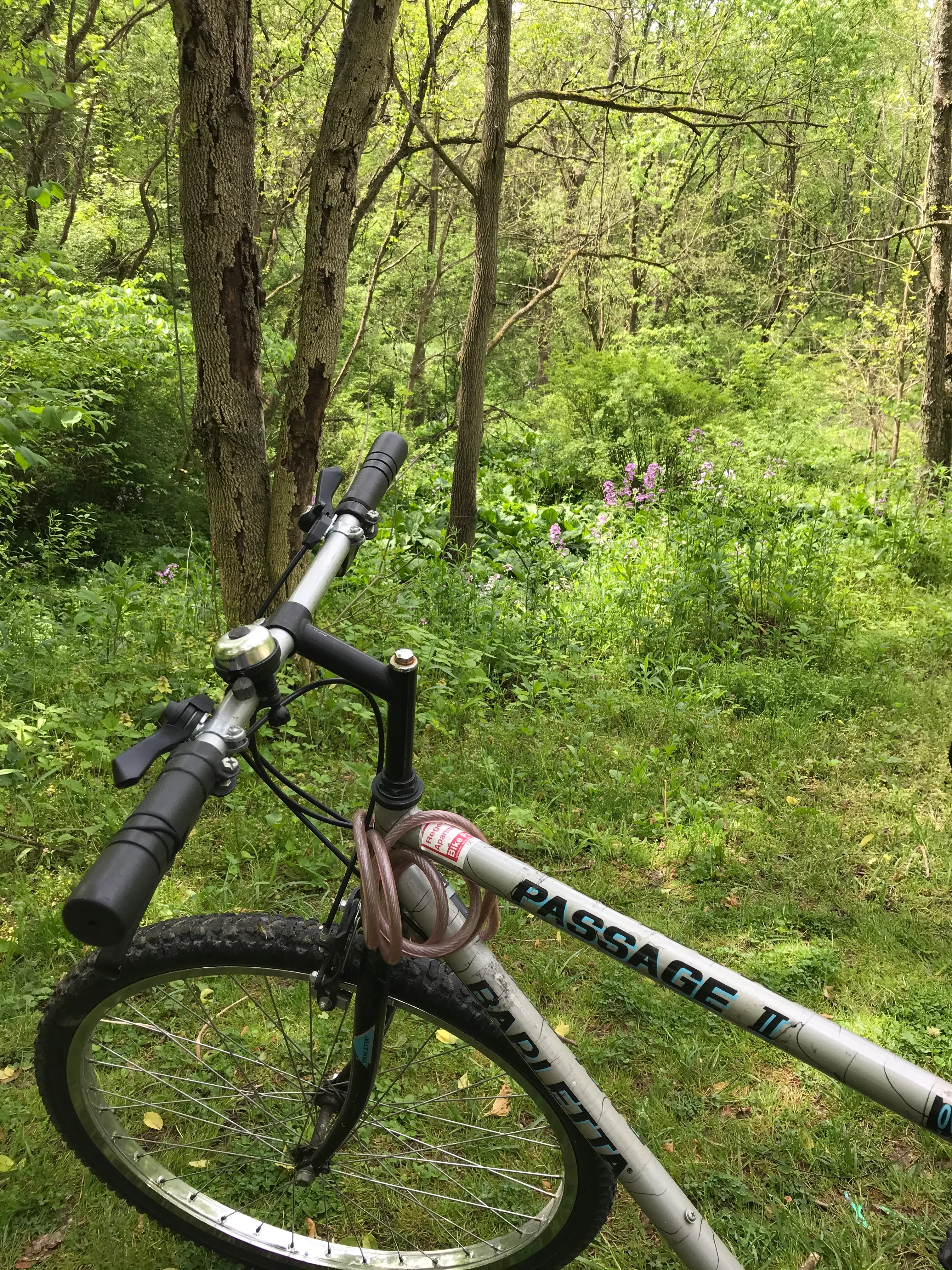 Montour Trail