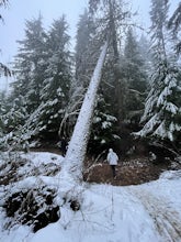 Canfield Mountain Trail 3, Trail A, and Cave Loop