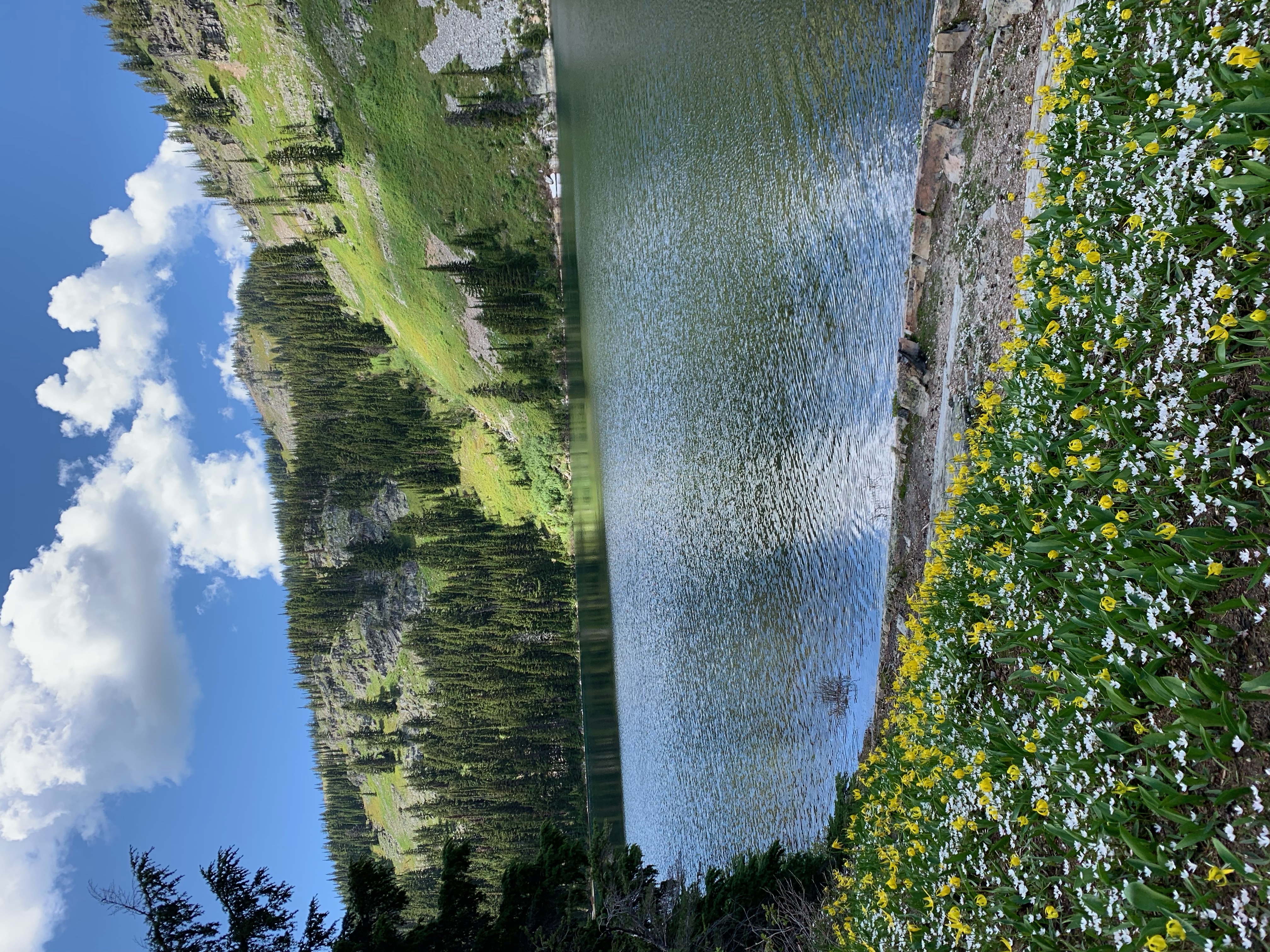 Blossom Lakes Trail