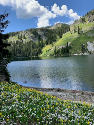 Blossom Lakes Trail