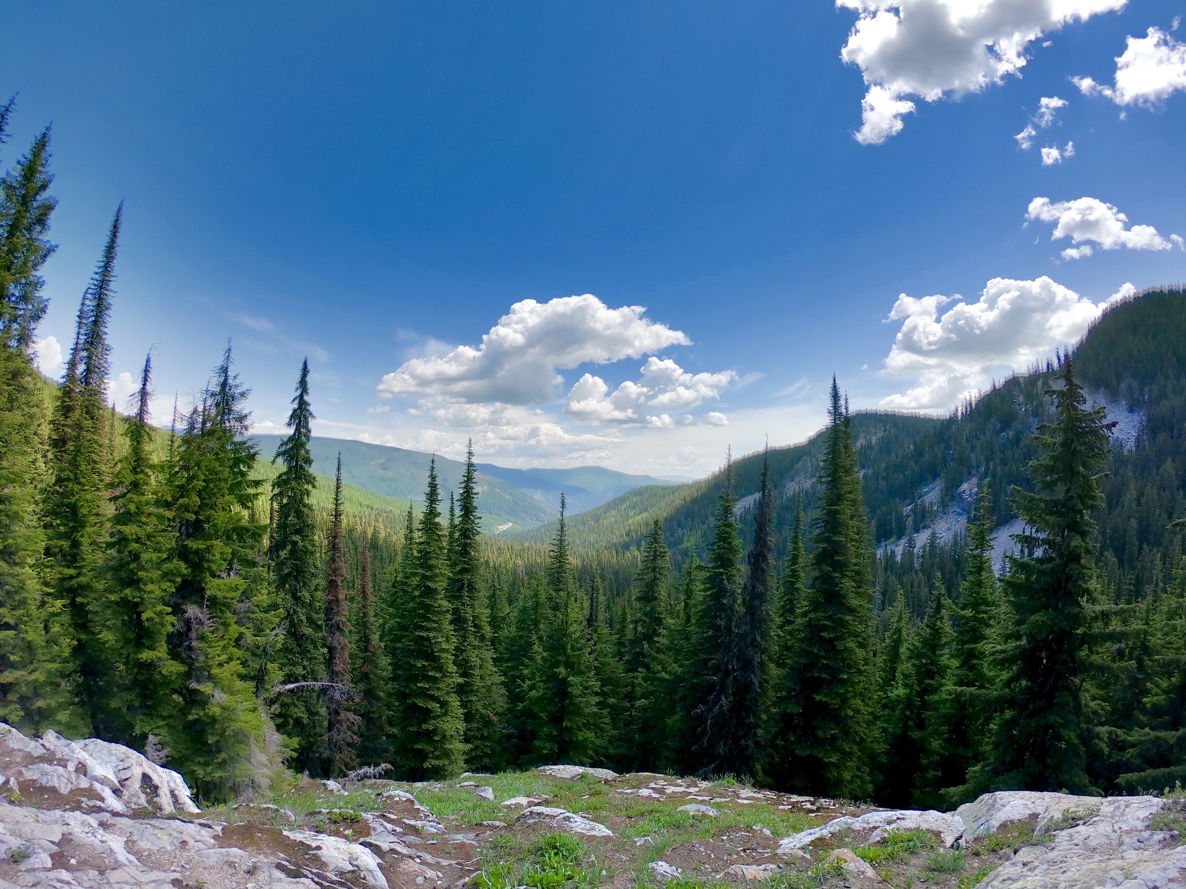 Blossom Lakes Trail