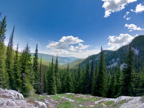 Blossom Lakes Trail