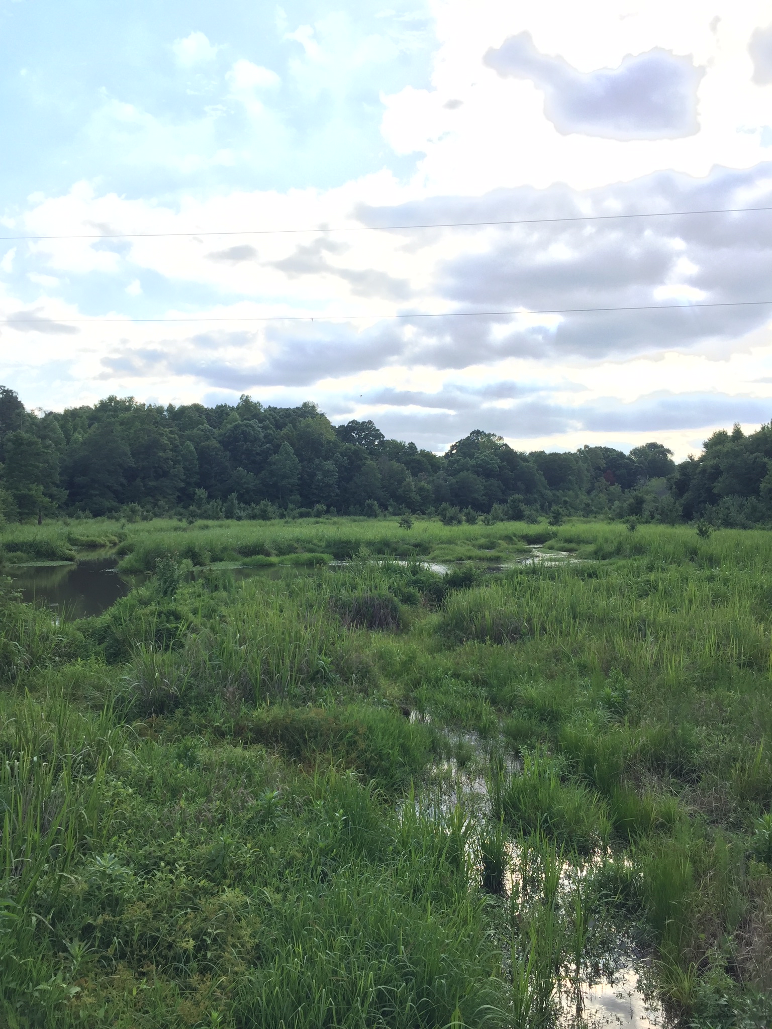 Neuse River Trail