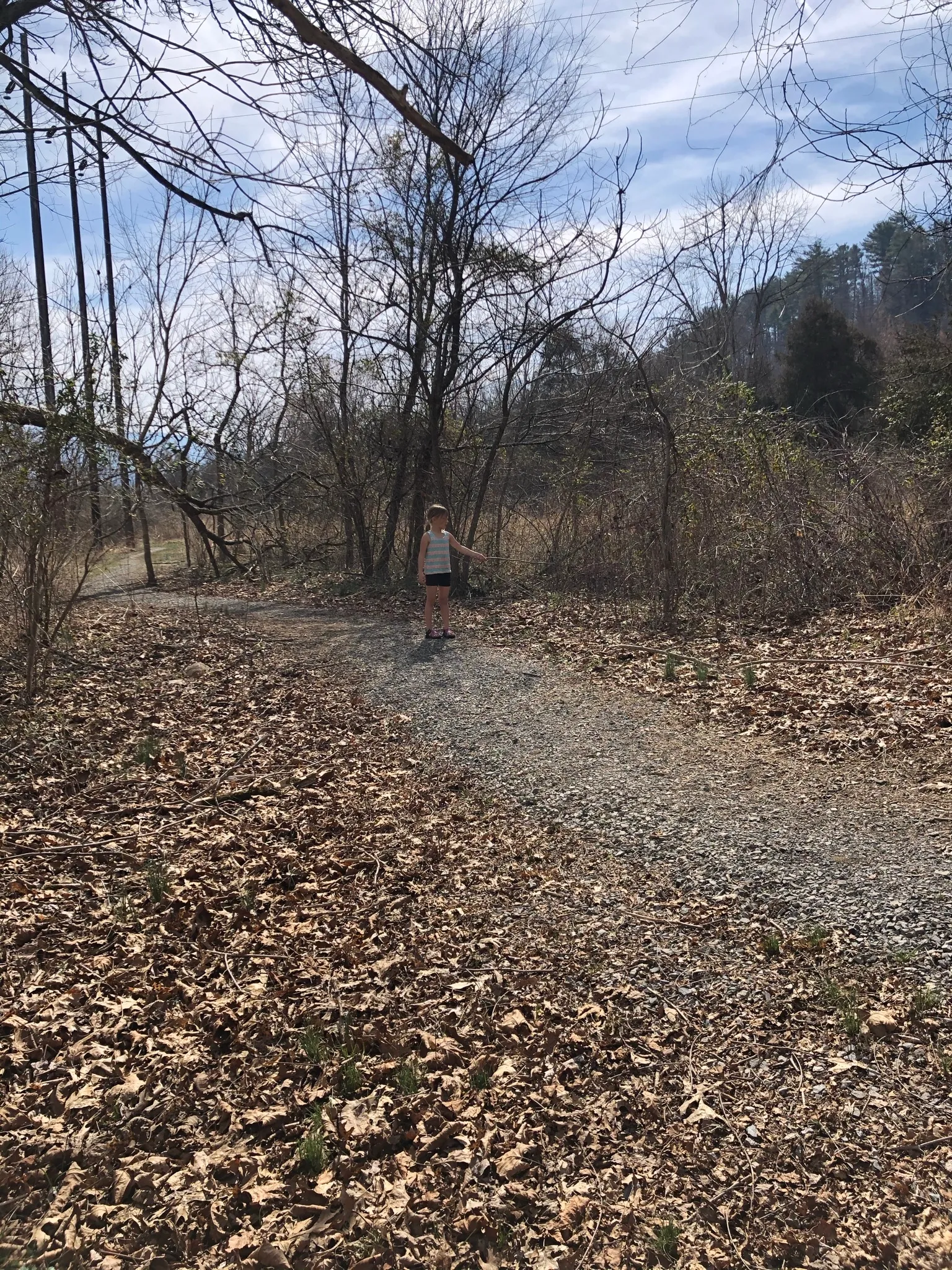 Emmett Trail