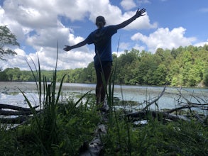 Bays Mountain Reservoir Trail