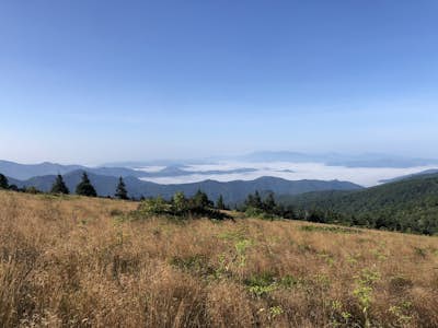 Appalachian Trail: Carvers Gap to Roan Mountain