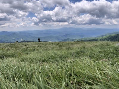 Appalachian Trail: Carvers Gap to Roan Mountain