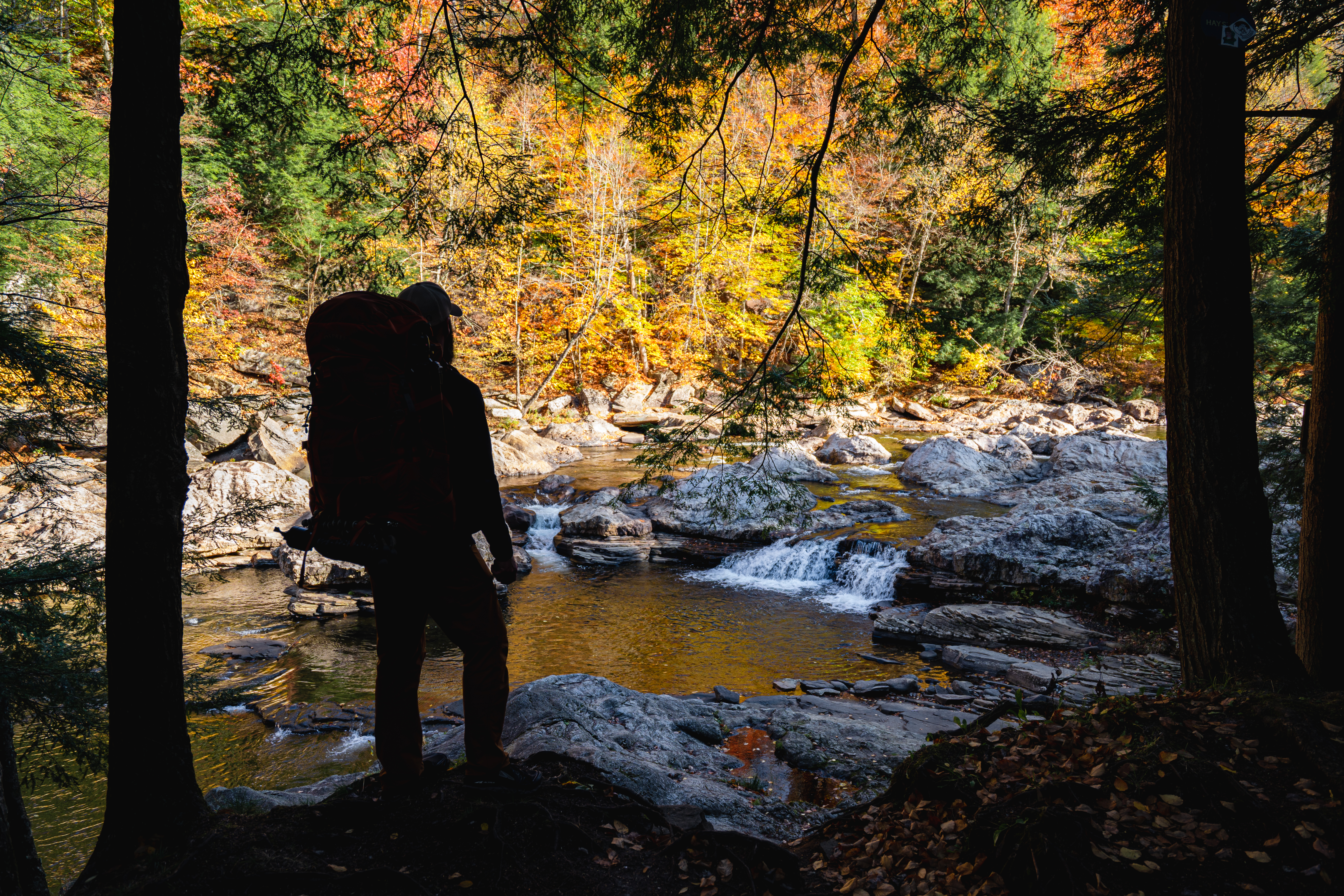 Loyalsock Trail