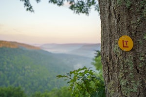 Loyalsock Trail