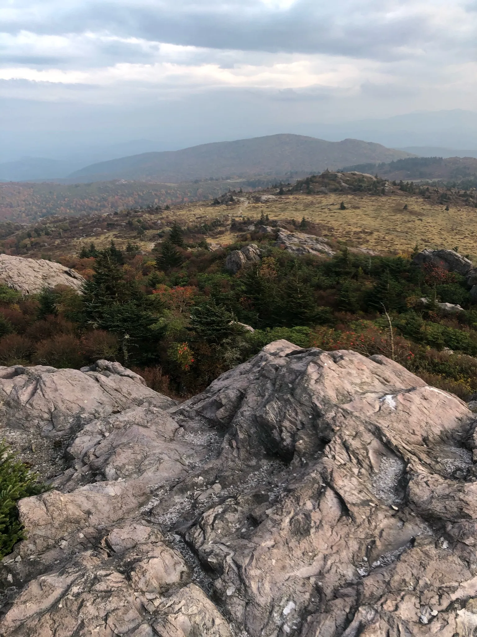 Wilburn Ridge and Massie Gap Loop