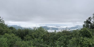 Appalachian Trail: Beauty Spot to Unaka Mountain