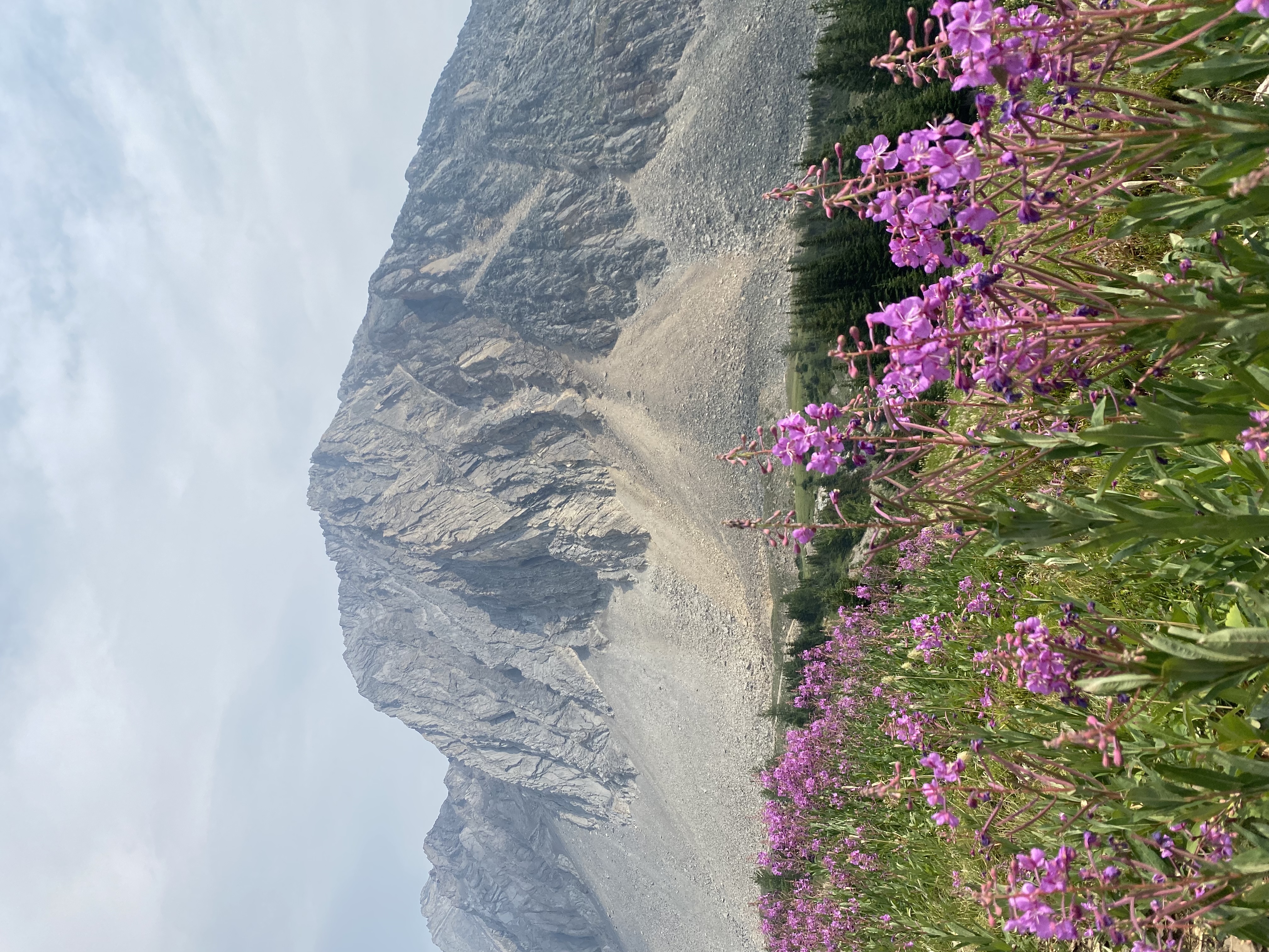Hike Ptarmigan Cirque 