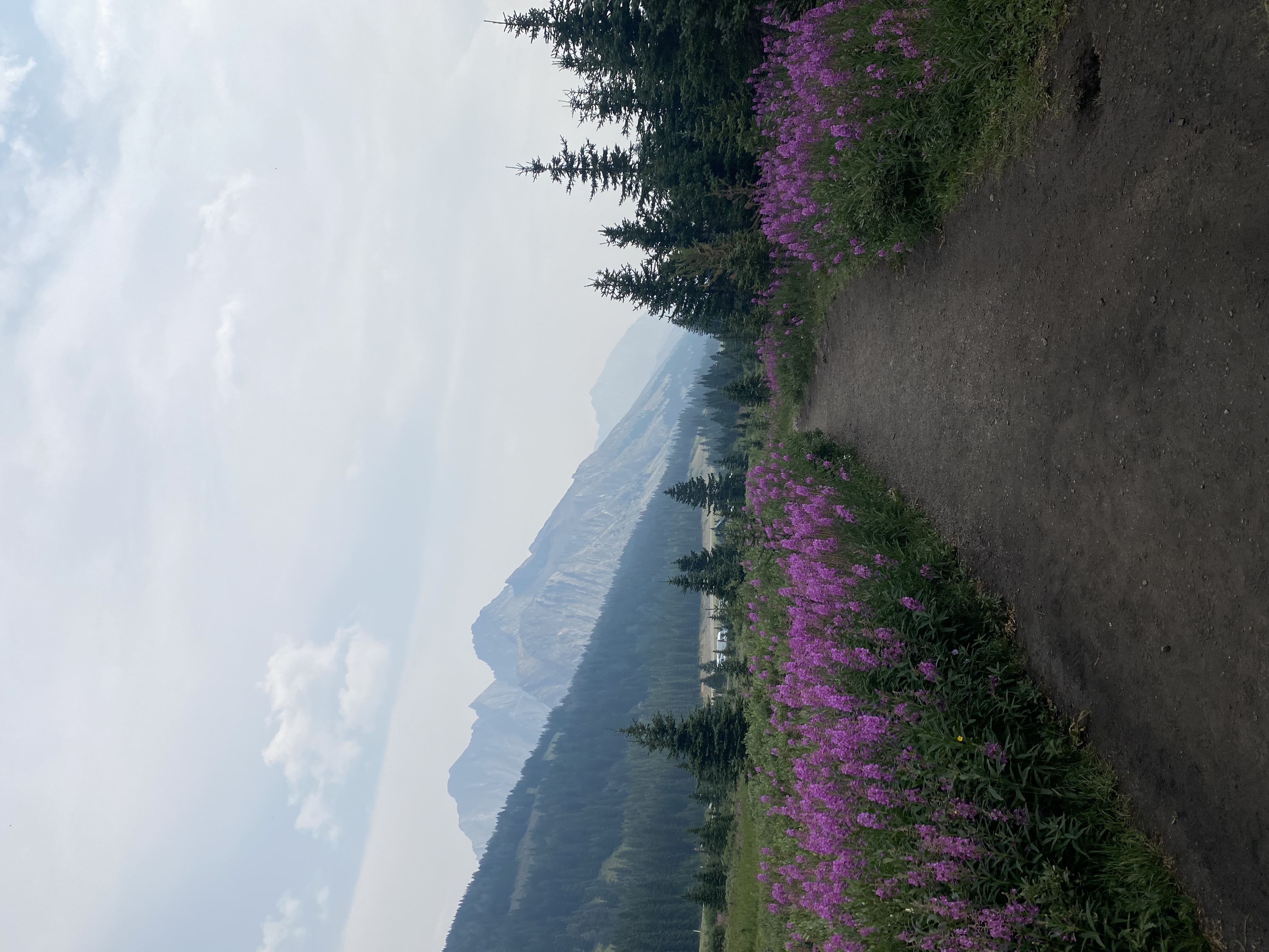Hike Ptarmigan Cirque 