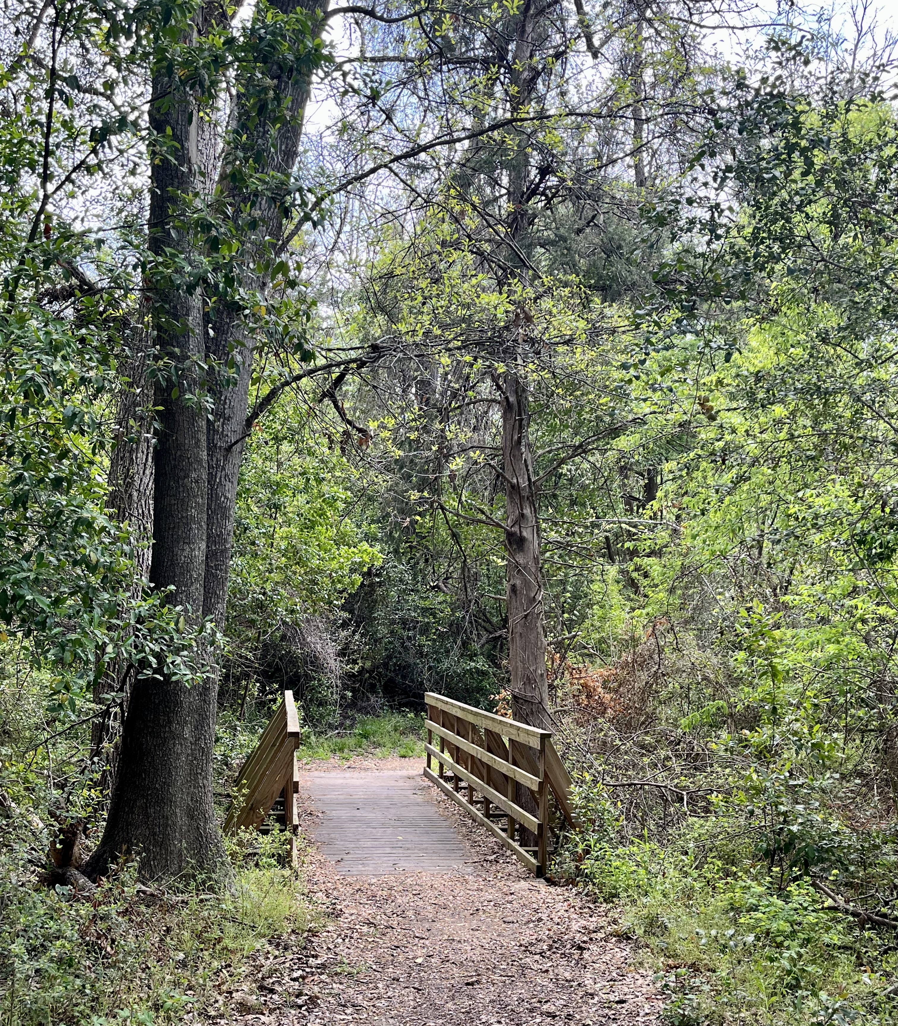 Photo of Navasota River Trail