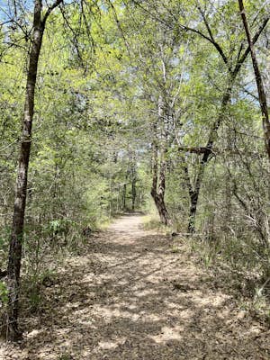 Navasota River Trail
