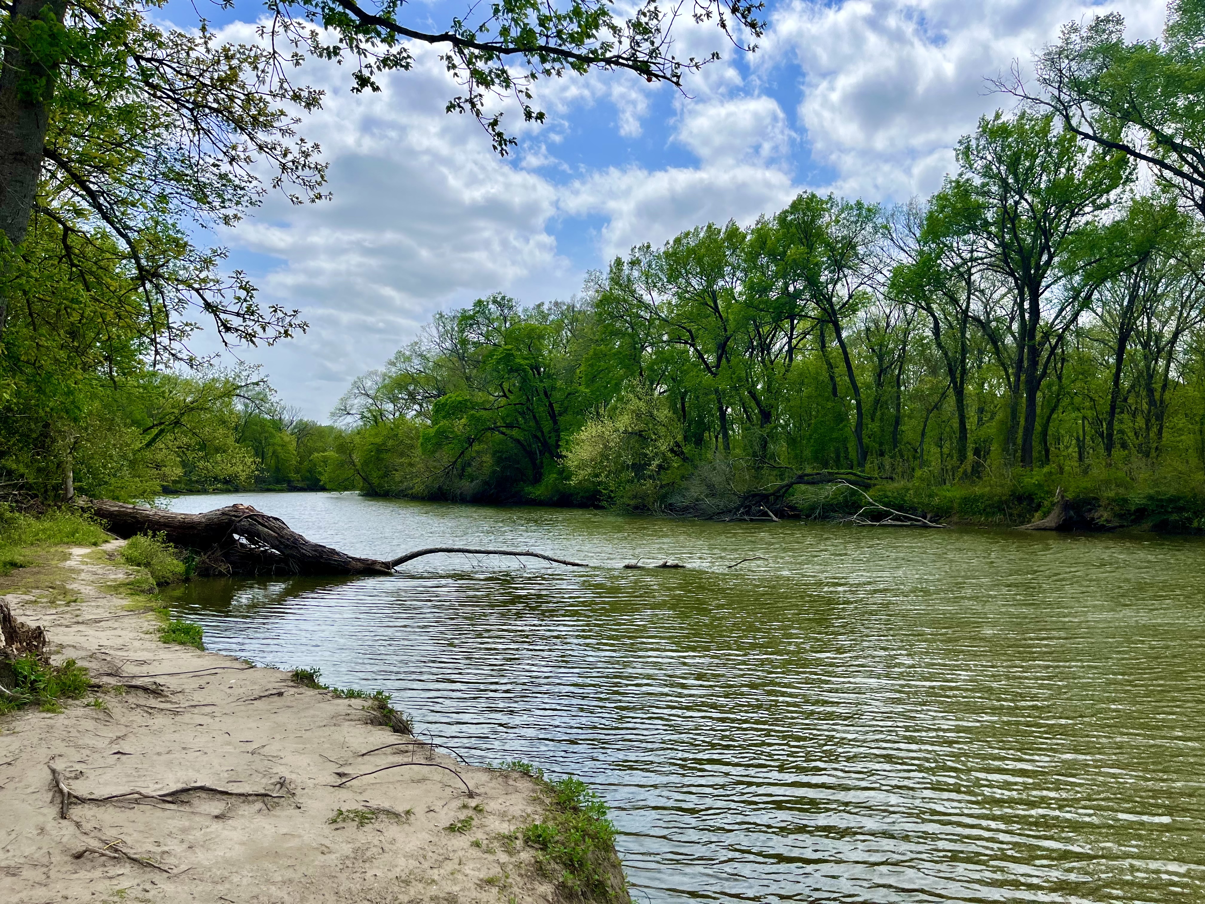 Navasota River Trail, Mexia, Texas
