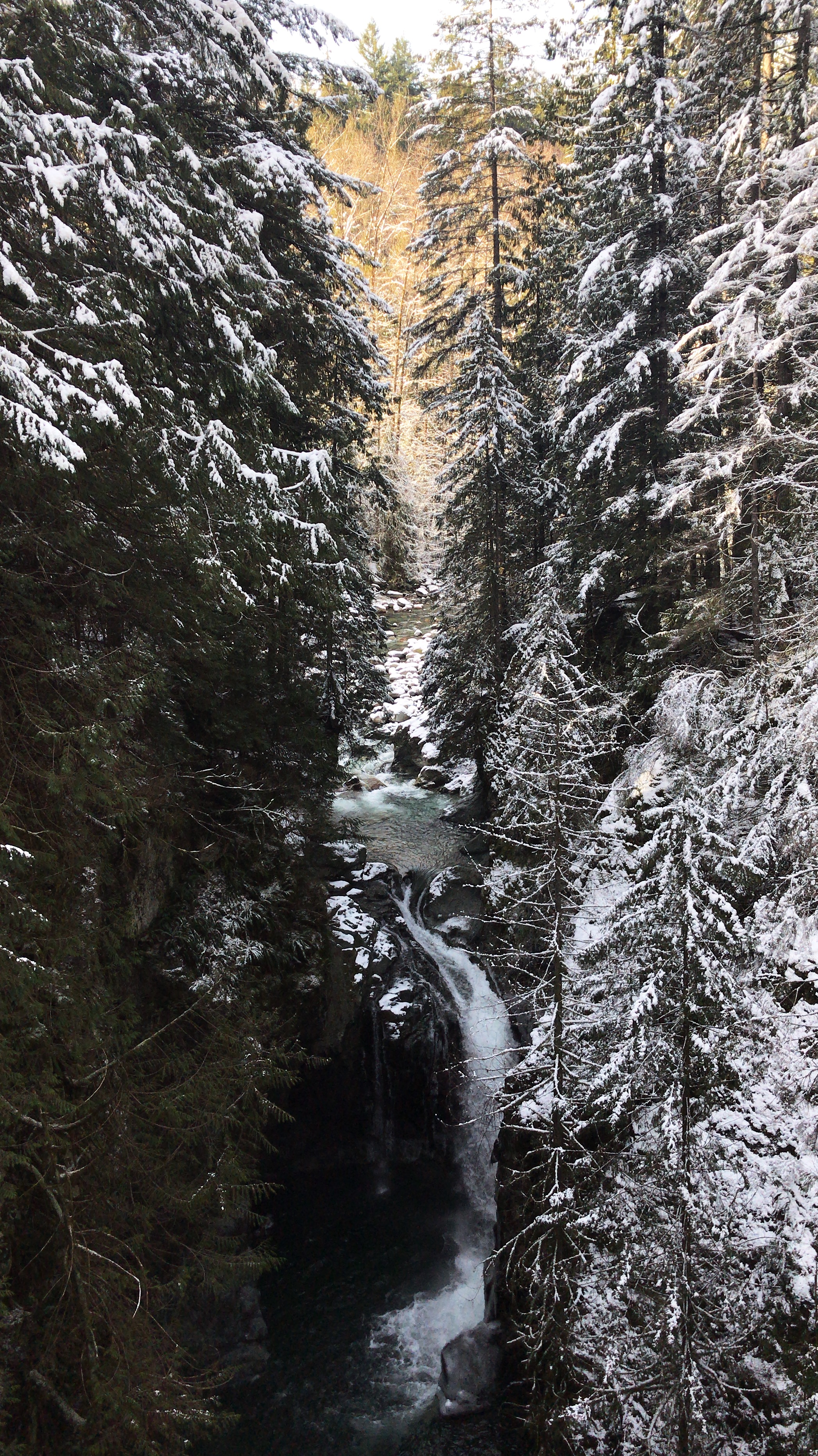 Lynn Canyon Suspension Bridge