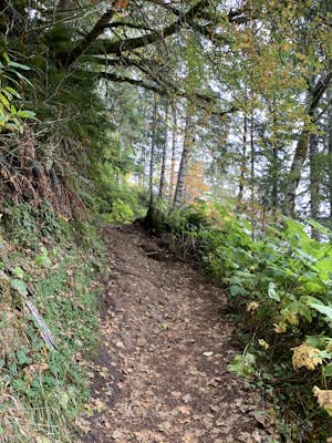 Saddle Mountain Trail