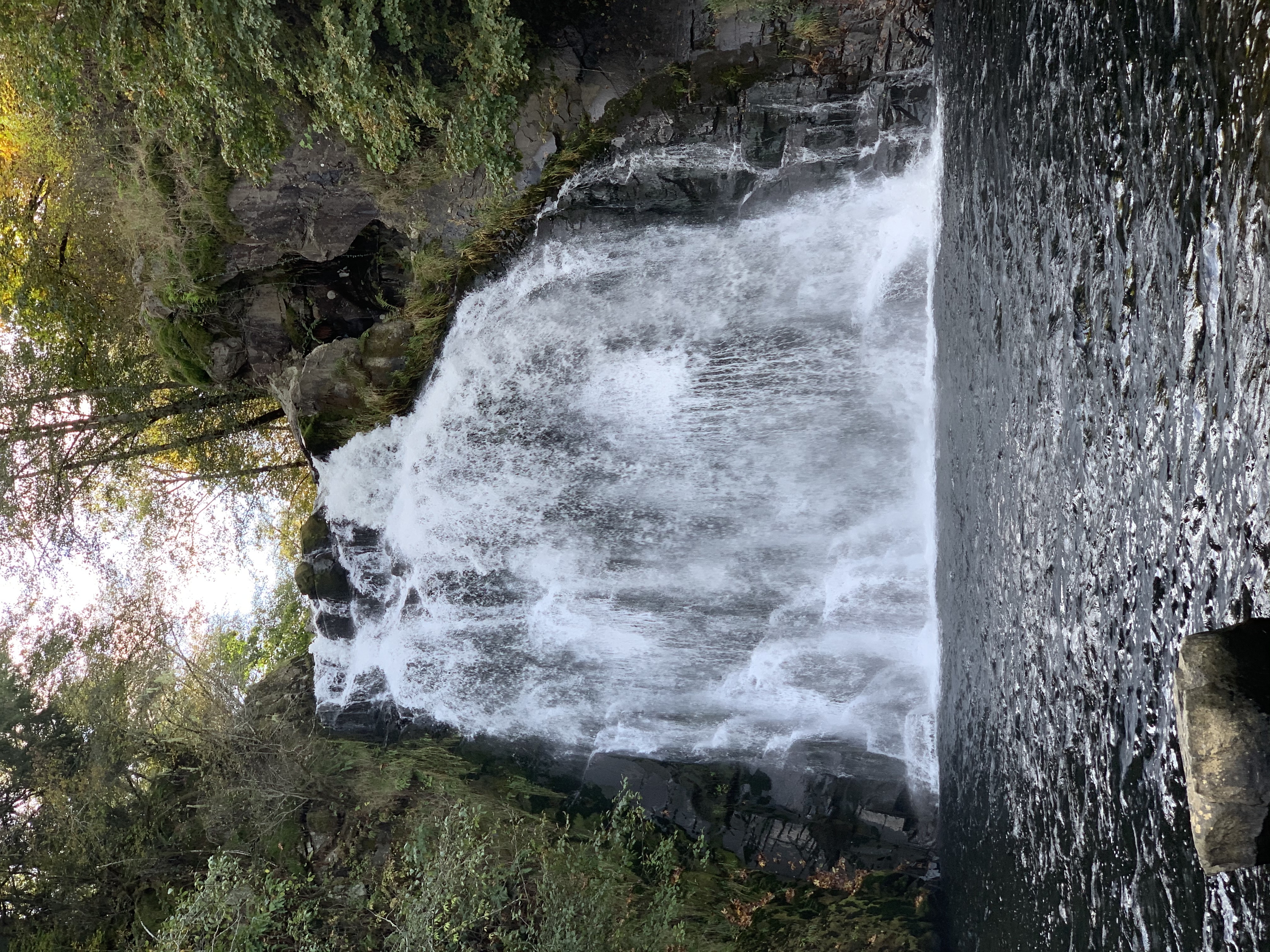 Youngs River Falls