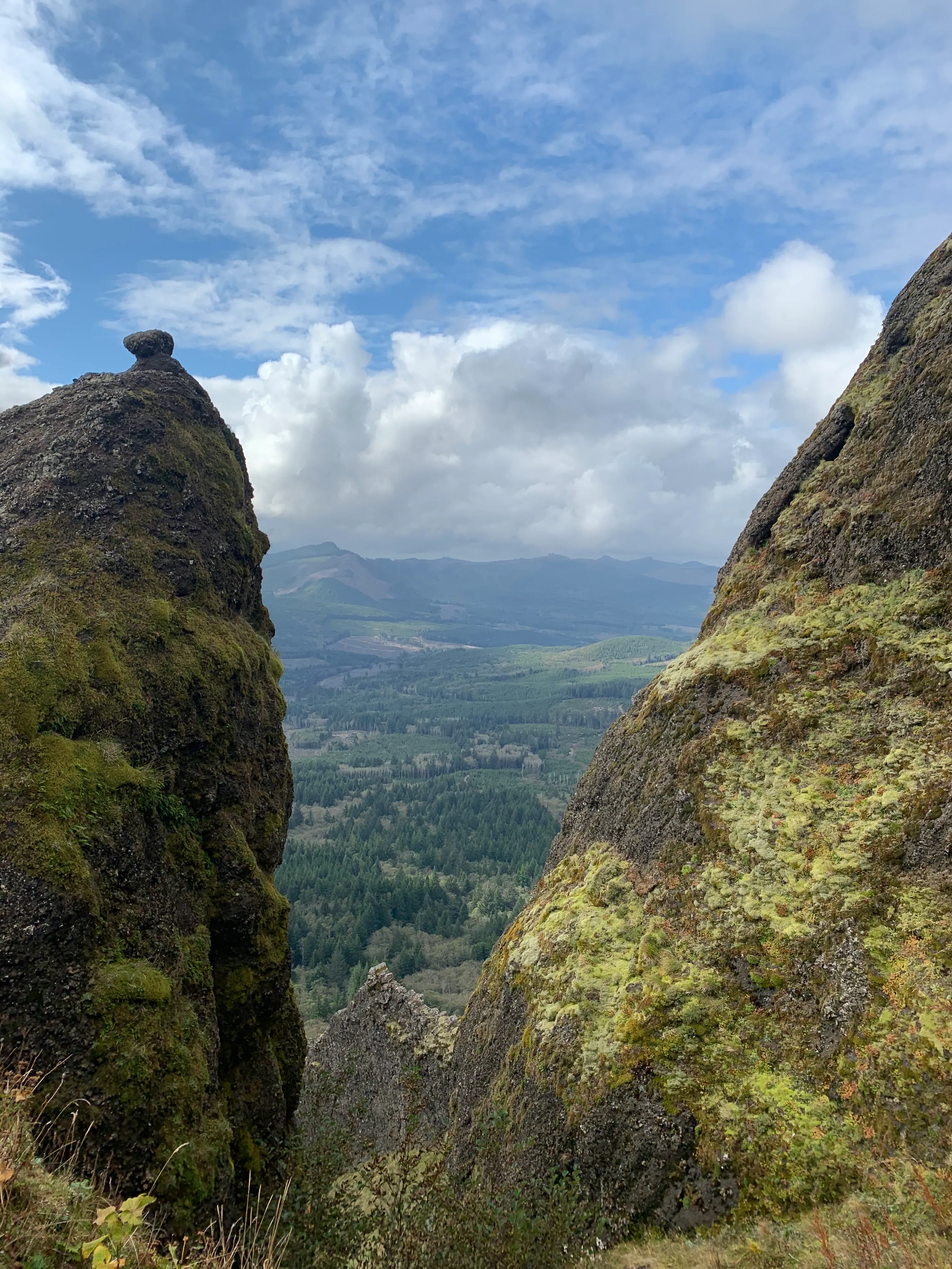 Saddle Mountain Trail