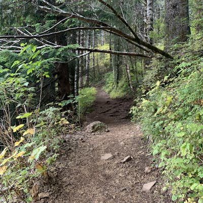 Saddle Mountain Trail