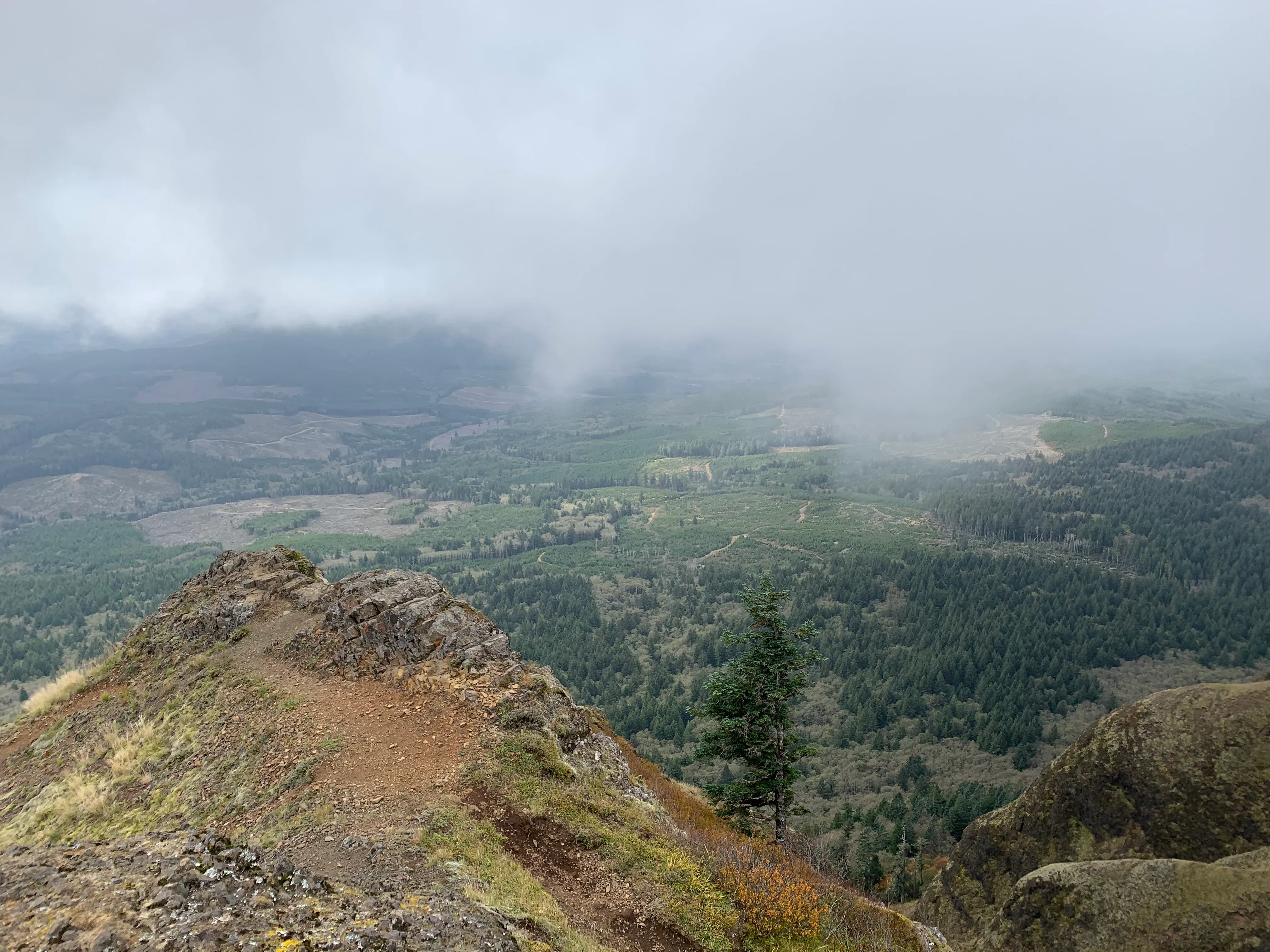 Saddle Mountain Trail