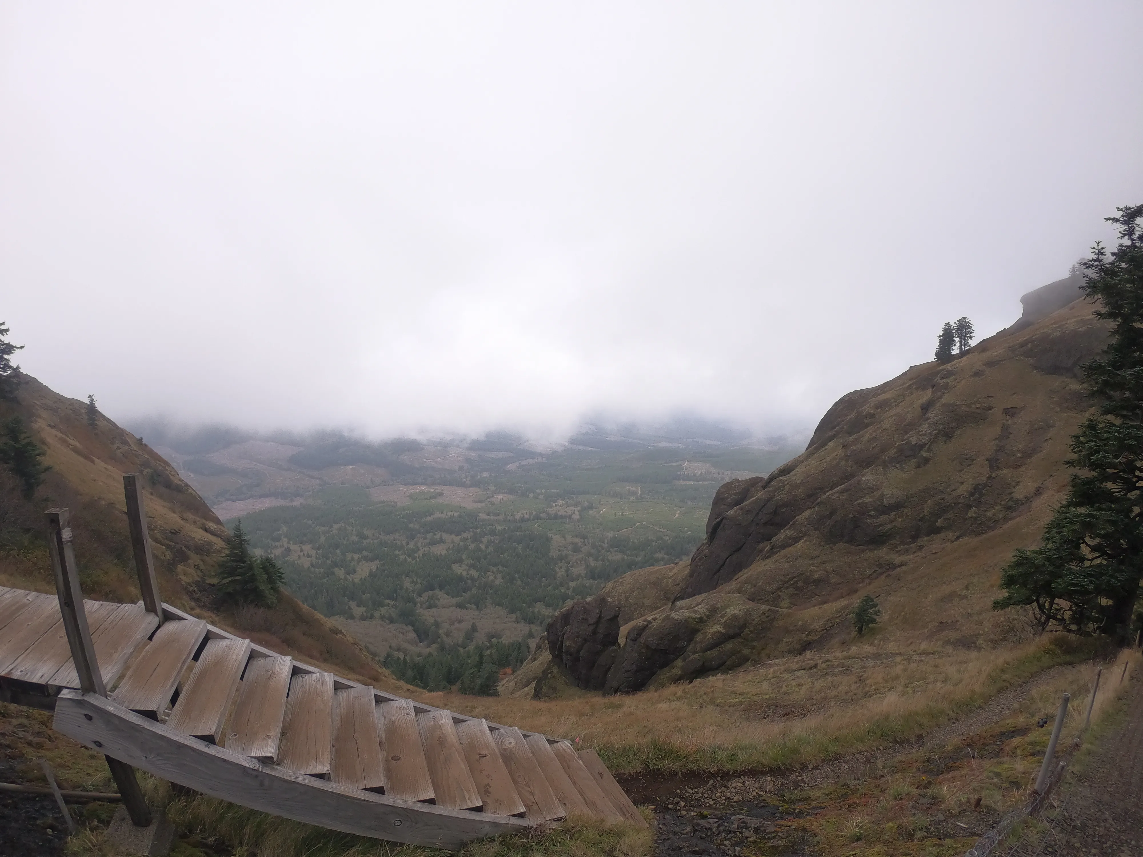 Saddle Mountain Trail