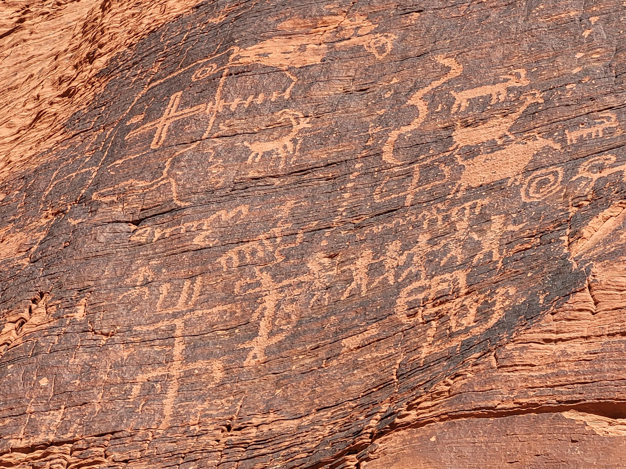 Hike the Petroglyph Canyon Trail to the Mouse's Tank