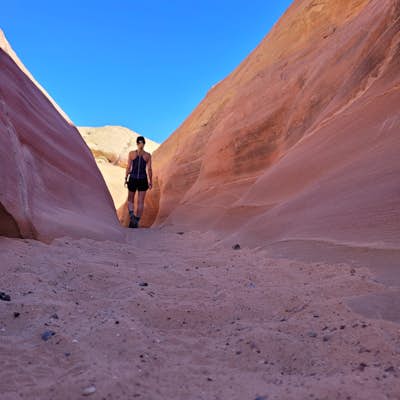 Hike to Pink Canyon in Valley of Fire State Park