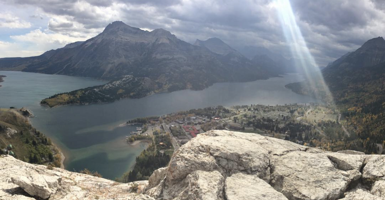 Hike Bear's Hump, Waterton Lakes NP
