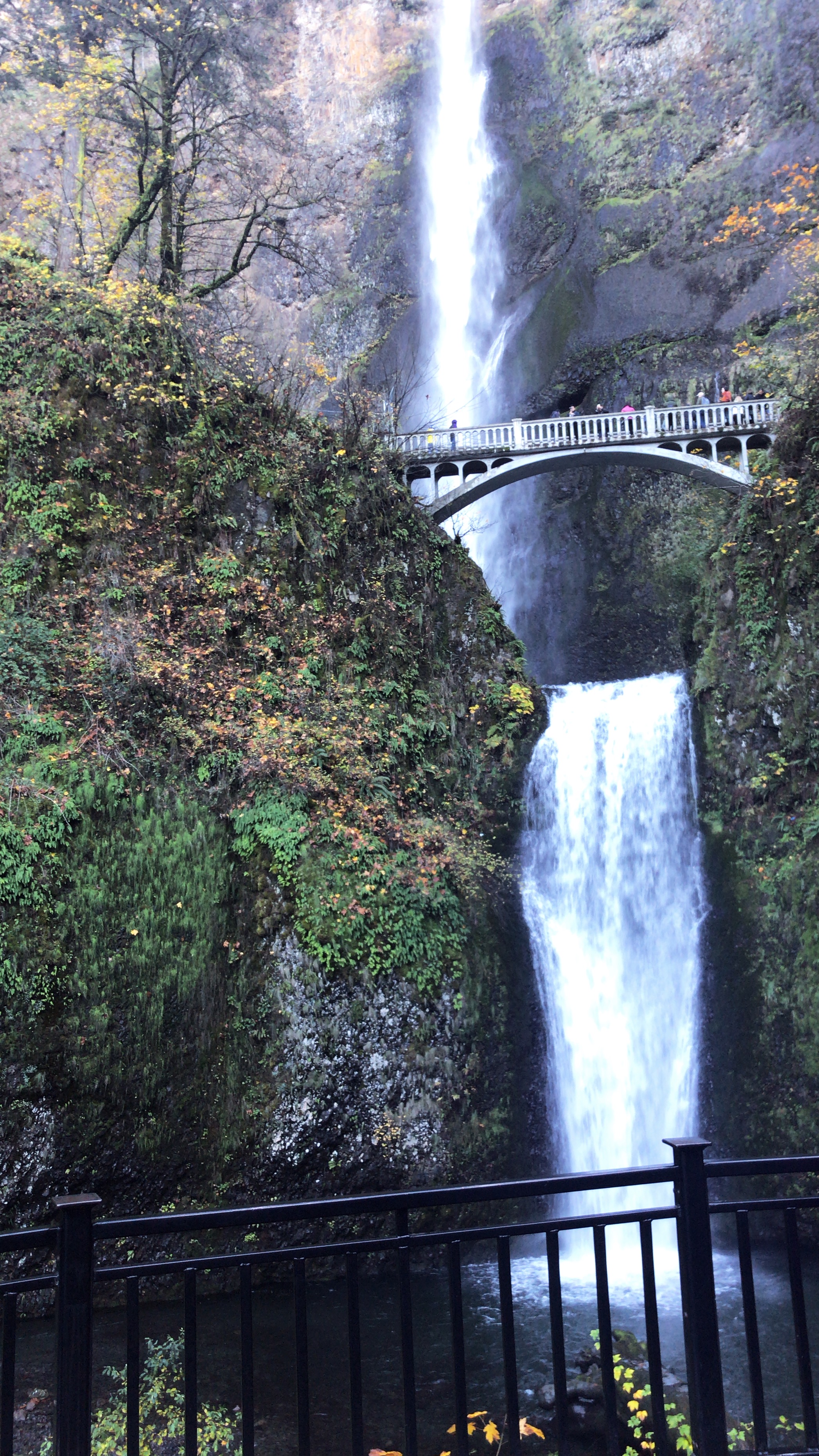 Multnomah Falls