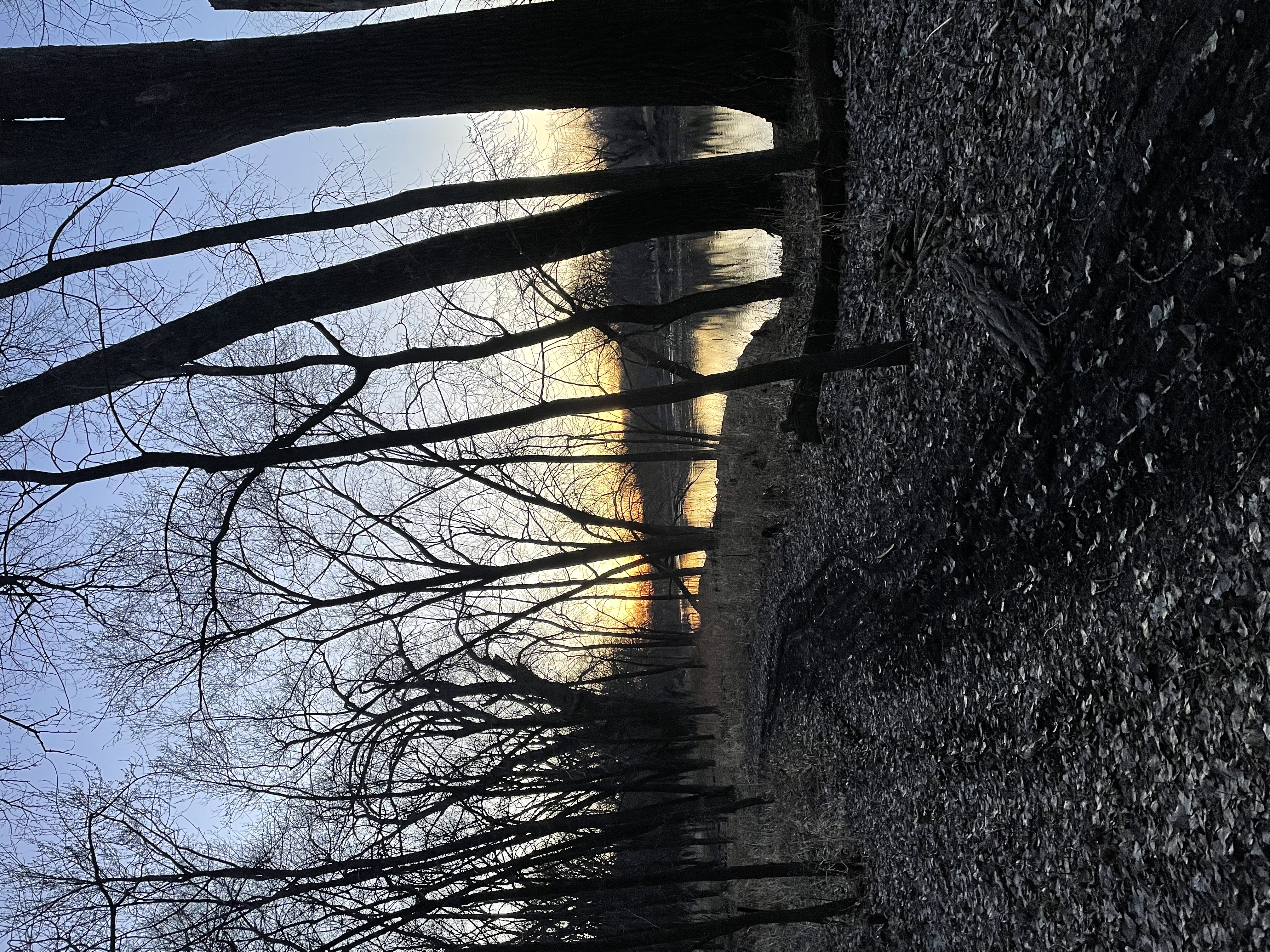 Explore the Minnesota River Bottoms