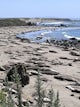 Elephant Seal Vista Point