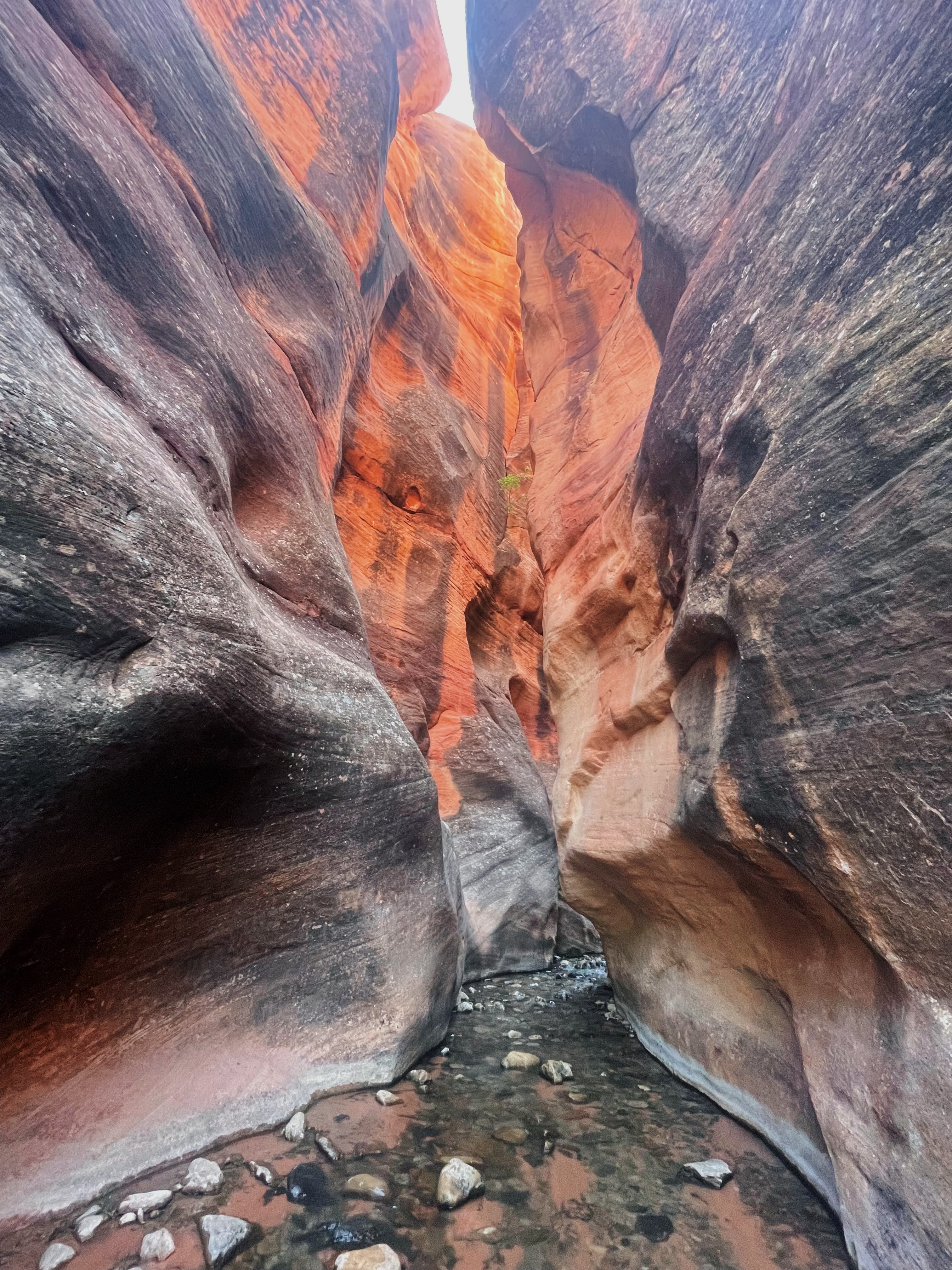 Kanarra Falls via Kanarraville Slot Canyon