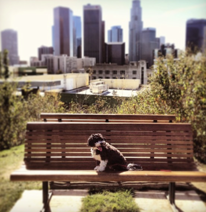 Vista Hermosa Natural Park