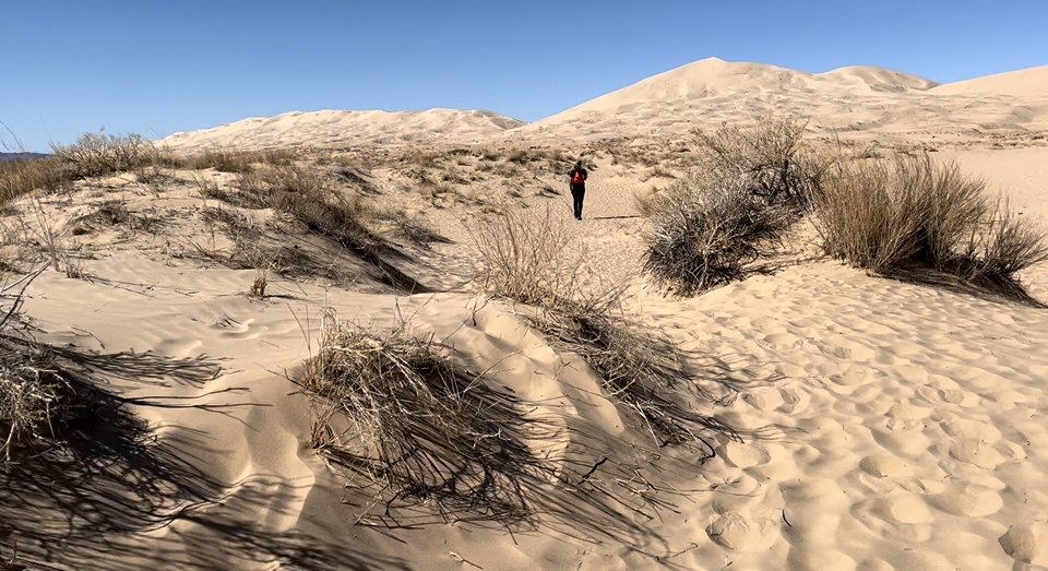 Kelso Dunes