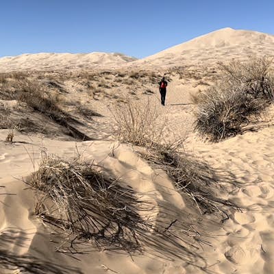 Hike Kelso Dunes