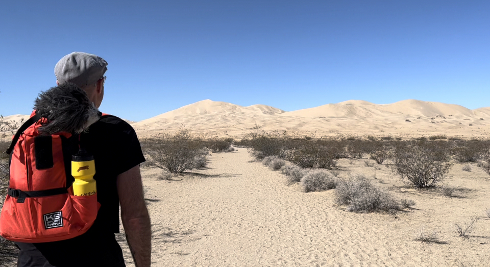 Kelso Dunes