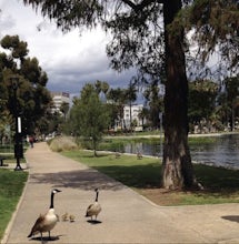 Echo Park Lake