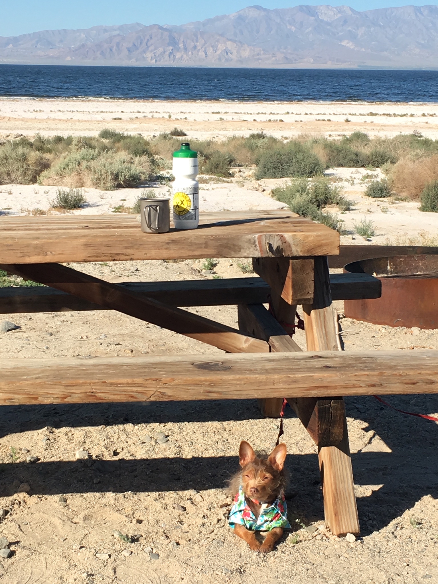 Camp at the Salton Sea