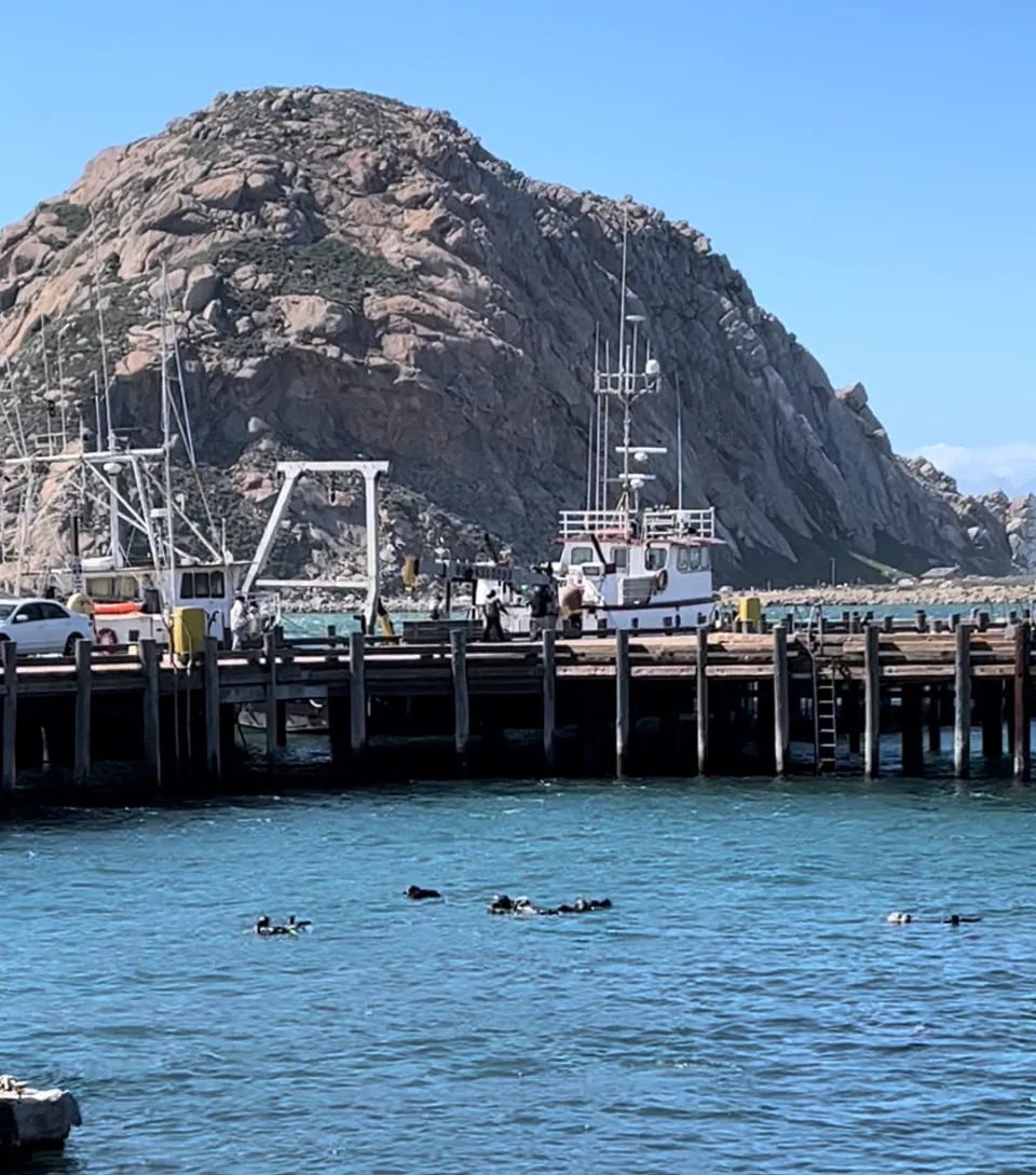 Photograph the Rock at Morro Bay