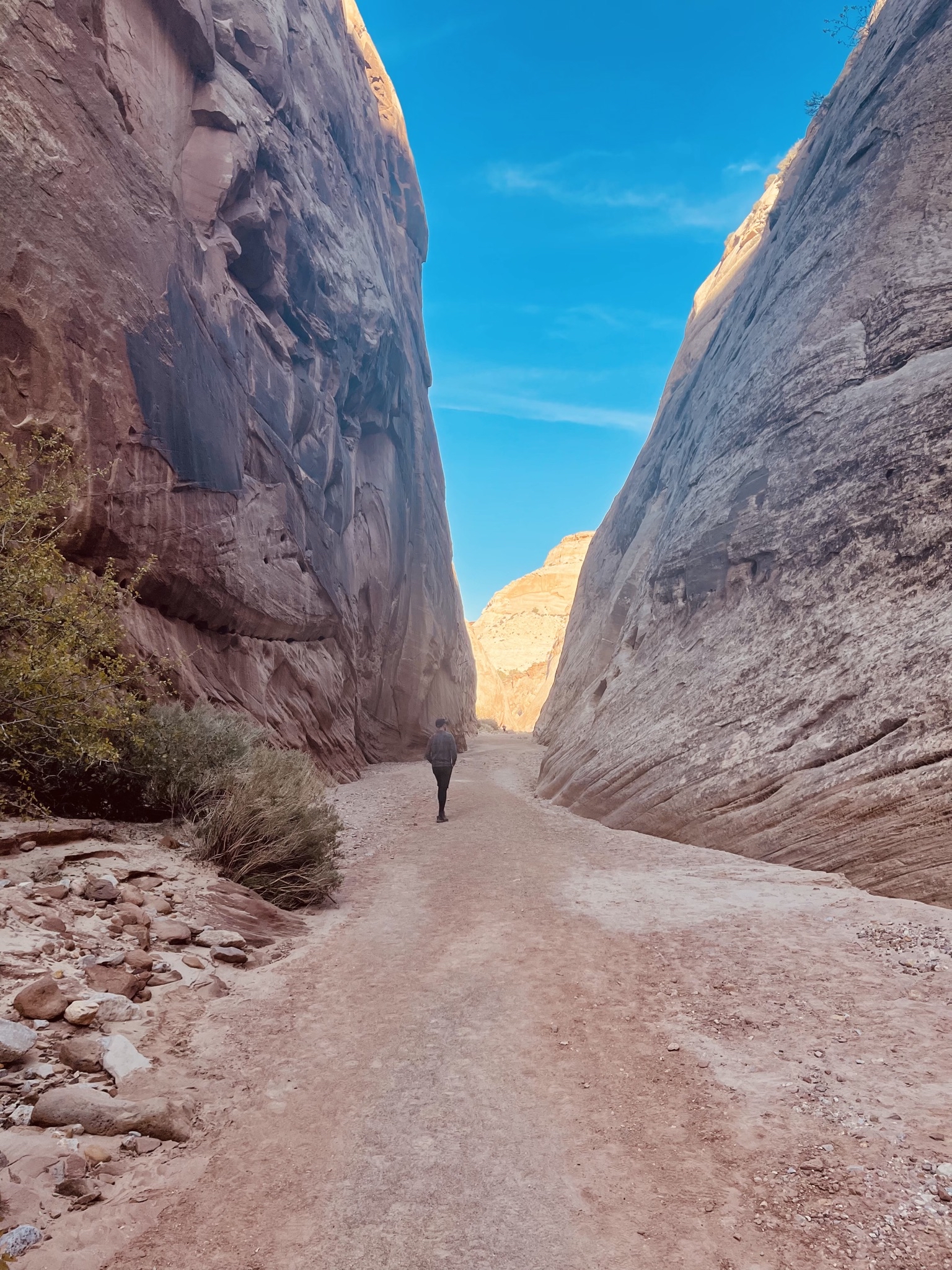 Photograph Arches National Park