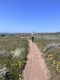 Elephant Seal Vista Point Trail