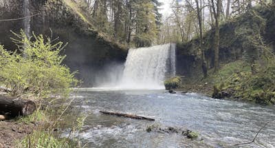 Beaver Falls Trail