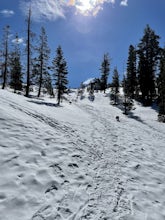 Heart Lake Trail From Castle Lake