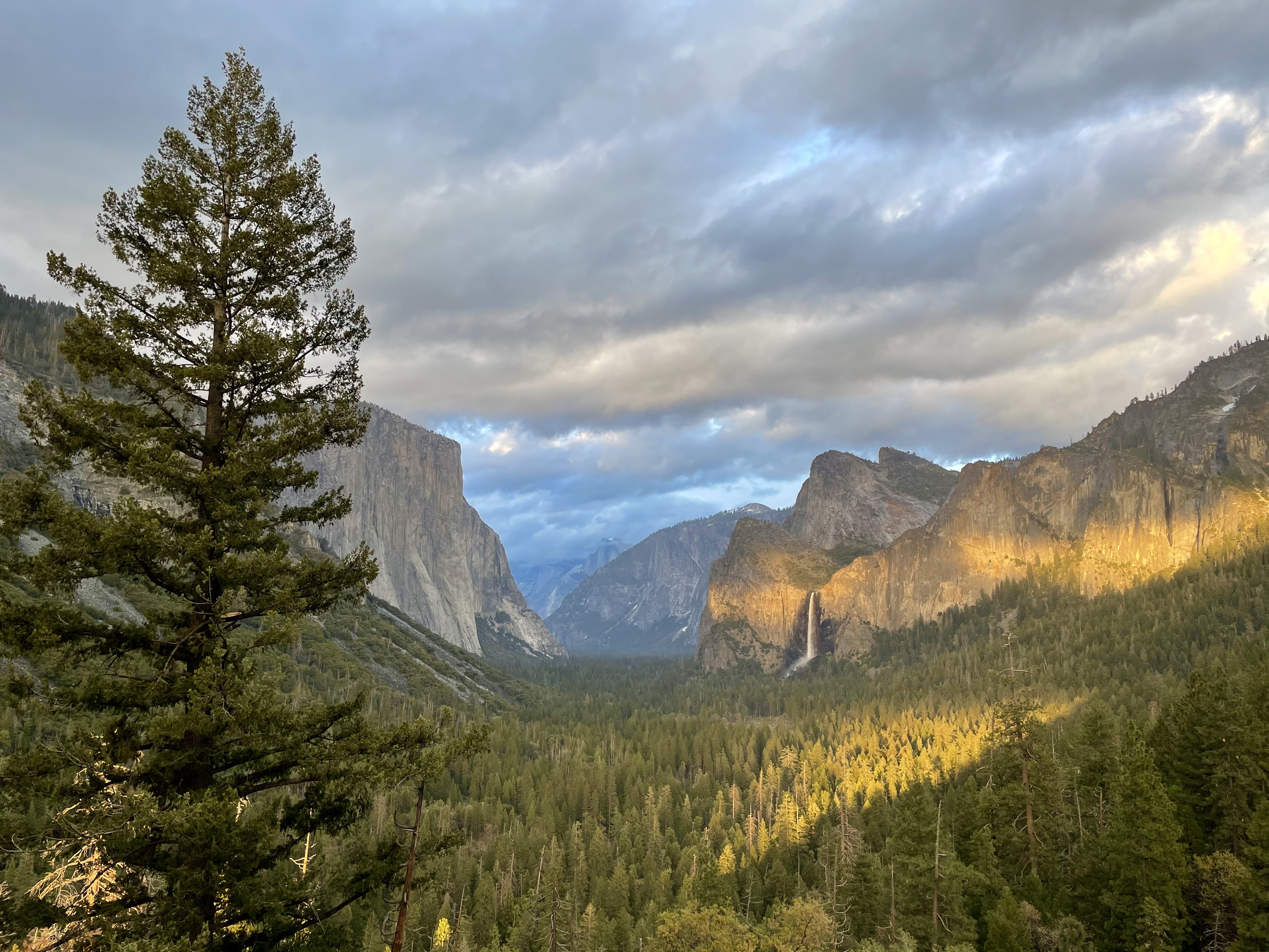 Photograph Yosemite's Tunnel View