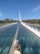 Hilltop Trail Head to Sundial Bridge