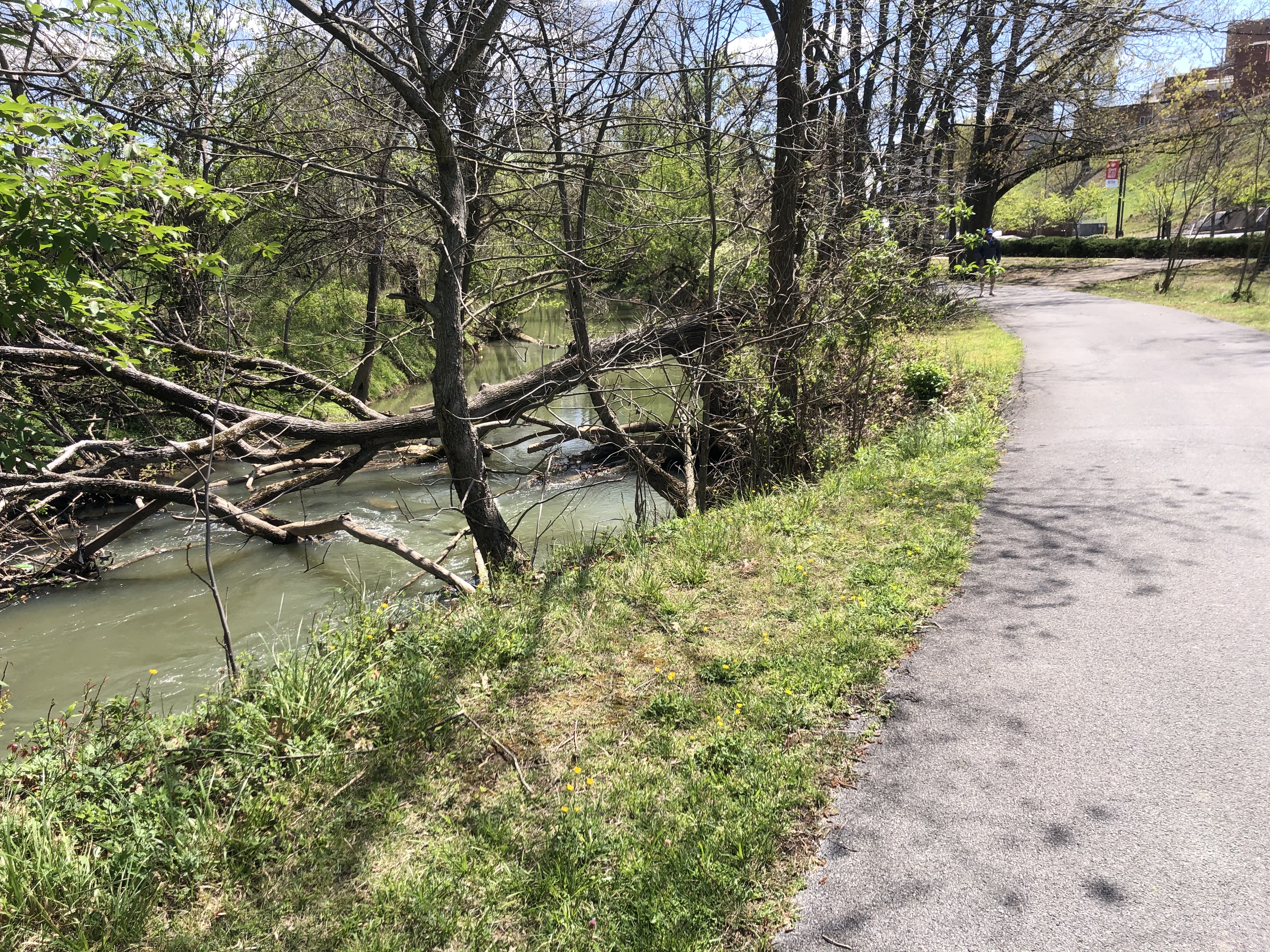 Kingsport Greenbelt