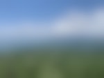 A green pine forest in the foreground with blue mountains and white puffy clouds in the background.