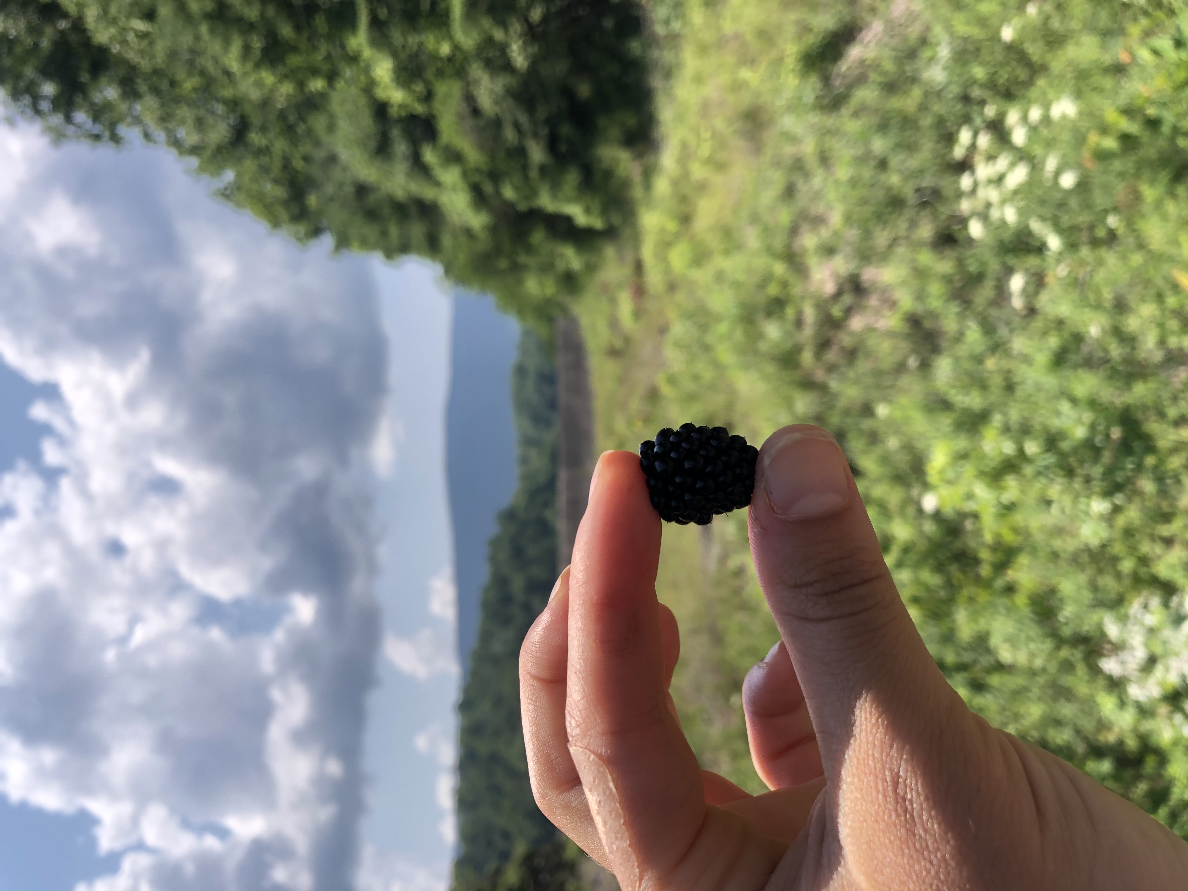 Spillway Trail